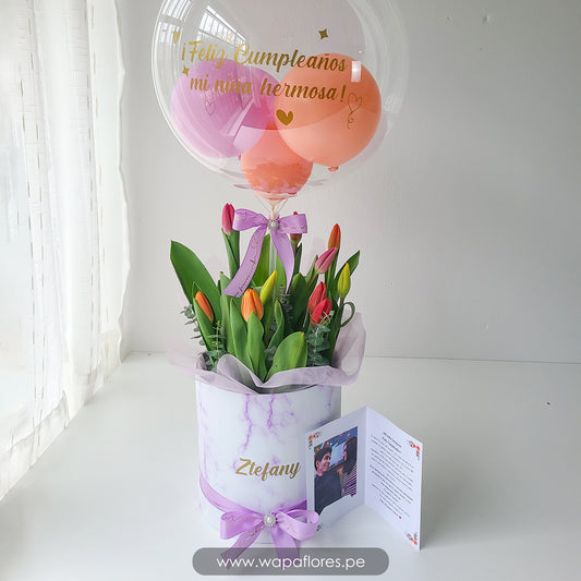 BOX 10 TULIPANES PREMIUM