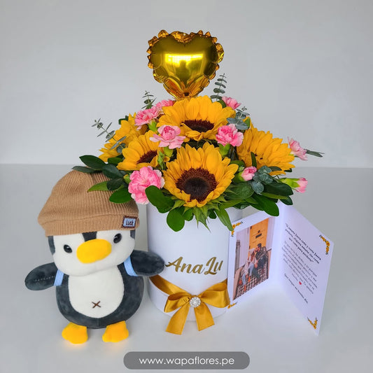 BOX GIRASOLES + PINGUINO